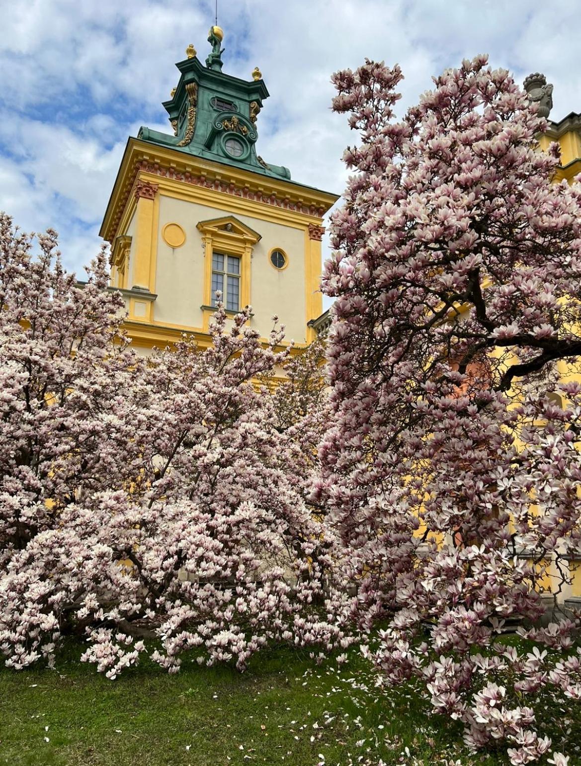 Centrum Konferencyjno-Apartamentowe Mrówka Varsovia Exterior foto